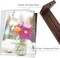 2 Sets of 5x7 Rustic Glass Photo Frames with Base (Floating Frame)